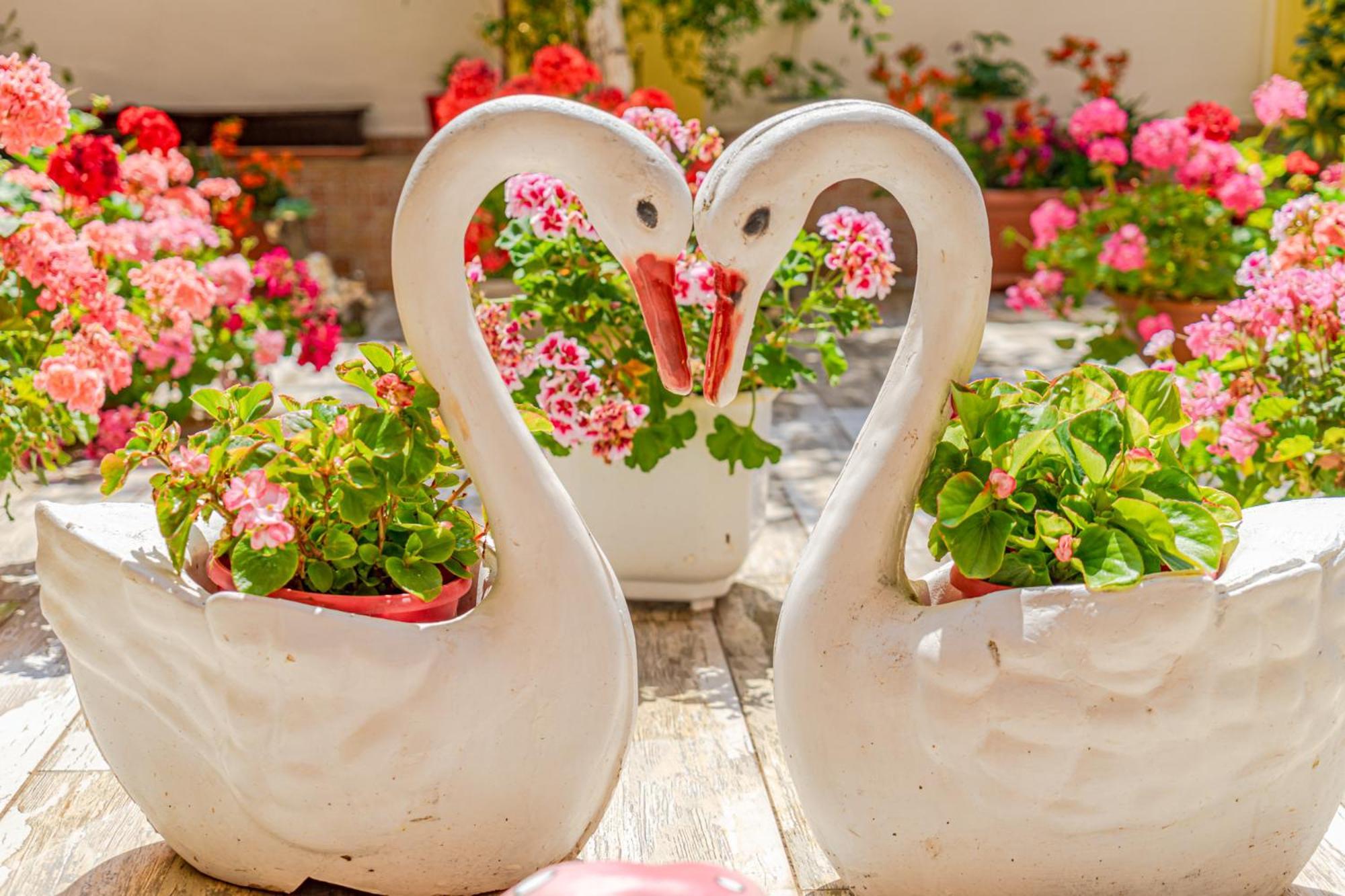 Boutique Guest House 'Sofia' نيسيبار المظهر الخارجي الصورة