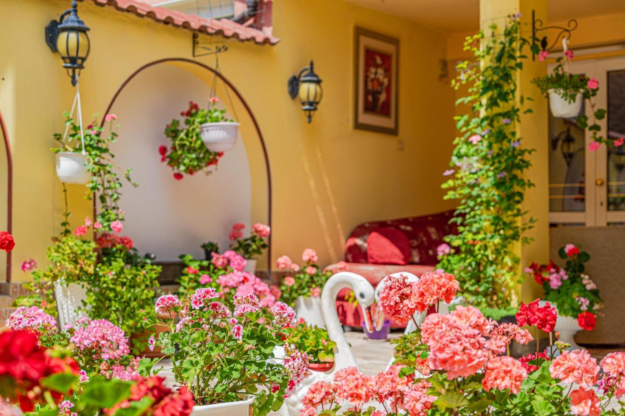 Boutique Guest House 'Sofia' نيسيبار المظهر الخارجي الصورة